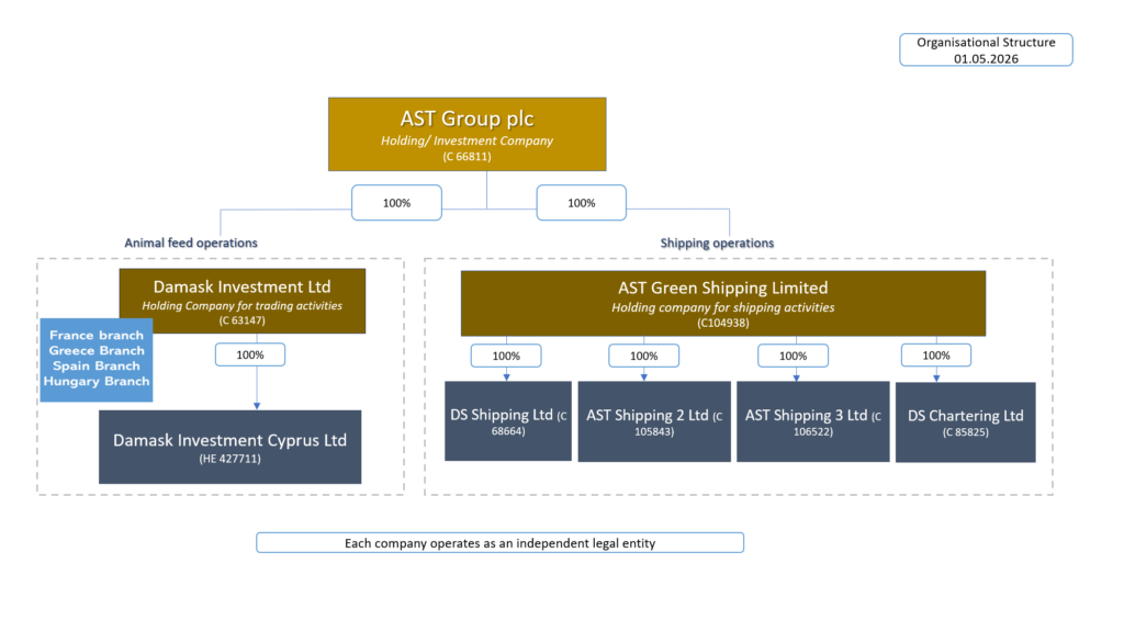 Group Structure | AST Group plc